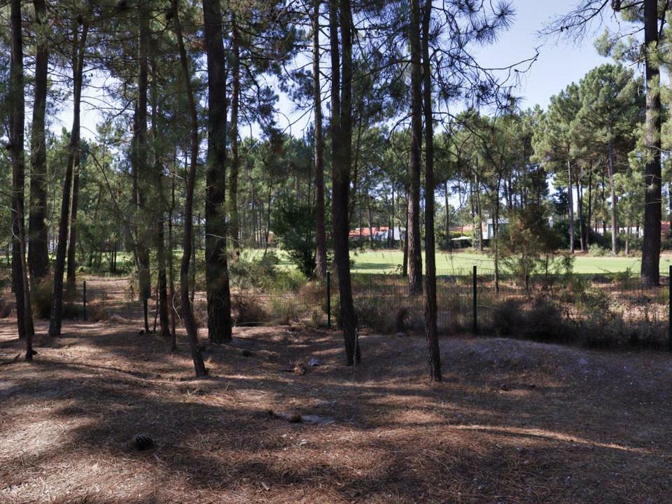 Aroeira Golf - Beach House Carcereiro Exterior photo